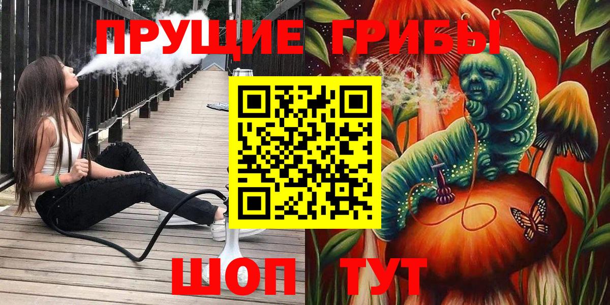 Галлюциногенные грибы Psilocybe Нурлат